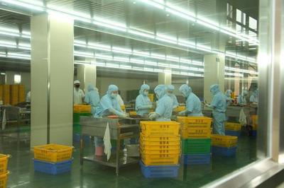 东莞道滘16家企业荣获2022年度食品生产企业质量奖，彰显产业高质量发展