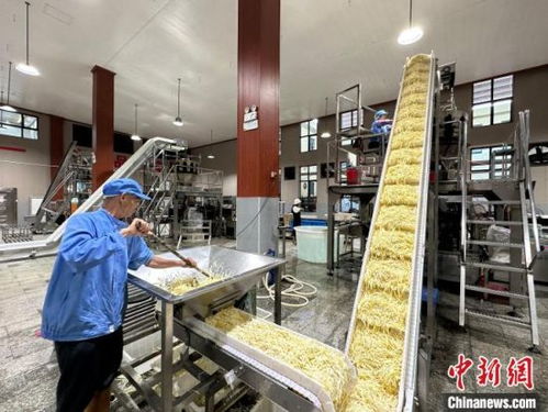 小竹笋闯出大世界 江西乐安做优做强竹笋产业，铺就乡村致富路