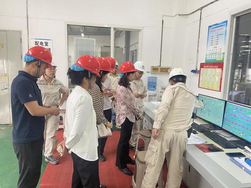 四川省市场监管局深入广元市开展食品生产企业体系建设专项检查，筑牢食品安全防线