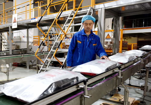 河北邢台 从“宠物食品”到“产业矩阵”的跃迁之路